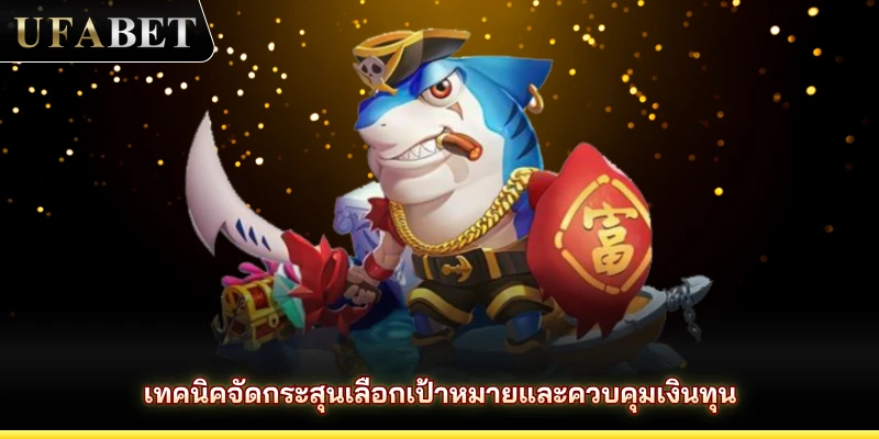 เทคนิคจัดกระสุนเลือกเป้าหมายและควบคุมเงินทุน